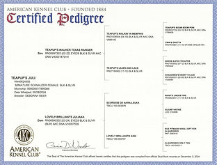 Pedigree.jpeg