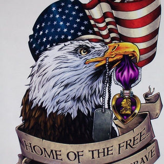 000111-American-Flag-Eagle-Purple-Heart-decal-Camper-RV.jpg