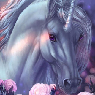 unicorn-0322-328151925_953842895980230_894082149096992488_n.jpg