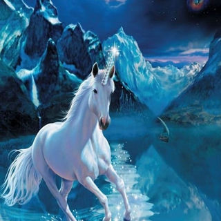 unicorn-0298-326931764_757459675865538_7157691873018741434_n.jpg