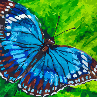 Butterfly 240-Butterflies.426s4h.final.png