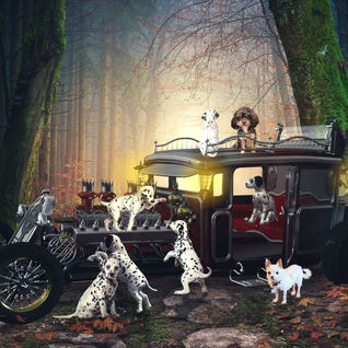 DalmationmaKiki and Paris.jpg