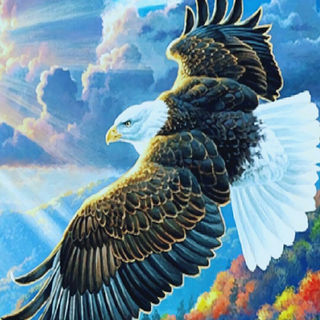 0211-Eagle-download.jfif