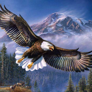 000116-5ed452eddc72178a57228f2e0263302b - Copy.jpg