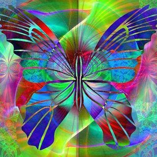 Butterfly 212-af1ab9725988235ef047a0b4fd89f8e5.jpg