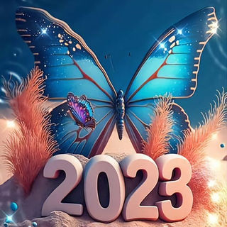 Butterfly 373-337897470_1210413436509637_1504305733166502980_n_inPixio.jpg