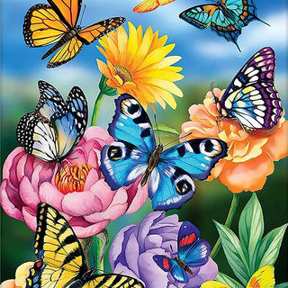 Butterfly 182-815w+859ZdL._AC_SL1500_.jpg