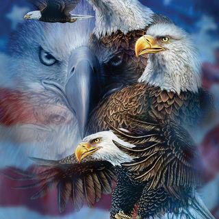 000189-Eagle-Patriotic Eagles.jfif