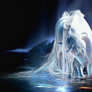 0006_QY9NgL9 - Copy (2).jpg