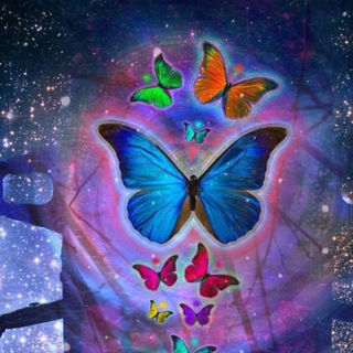 Butterfly 170-Fantasy Blue Butterfly Insect.jpg