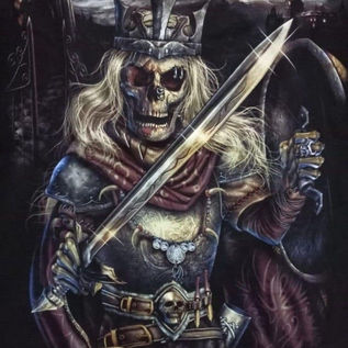 Skuls 458-330980712_1709464086122753_512492067524333564_n.jpg