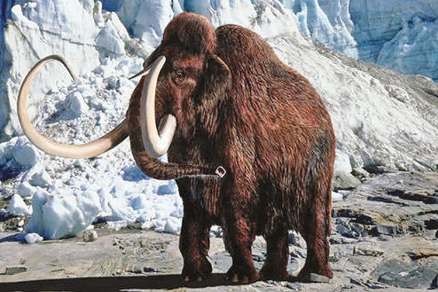 00019-202109150126432141_On-a-wild-mission-to-bring-back-the-woolly-mammoth_SECVPF.gif