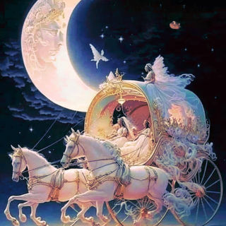 Butterfly 380-338690377_232815802490771_1054448425331980313_n_inPixio.jpg