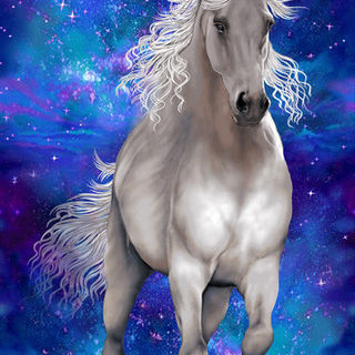 000208-unicorn-2732P-77 Reduced 50%__93184.jpg