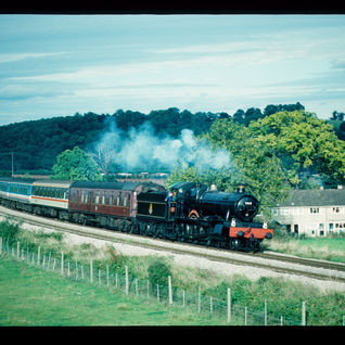 Tranes 214-324773971_946682716314490_6073770539141944045_n.jpg