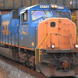 Tranes 328-334531279_732341161755705_5684963405853300704_n.jpg