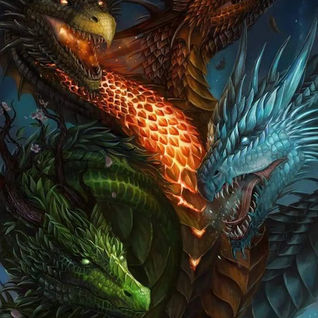 Dragons 222-326768746_1532764907207294_3253019494244044538_n.jpg