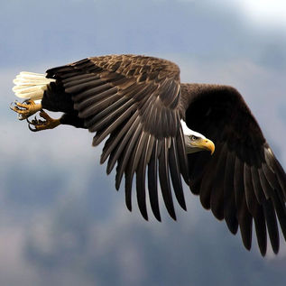 00015_wp3112303 - Copy - Copy - Copy.jpg