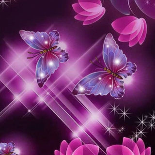 Butterfly 412-3137684_shine-flowers.jpg