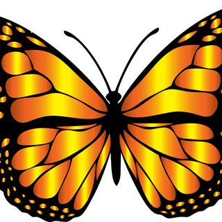 Butterfly 85-milkweed-butterfly-clipart-3.png