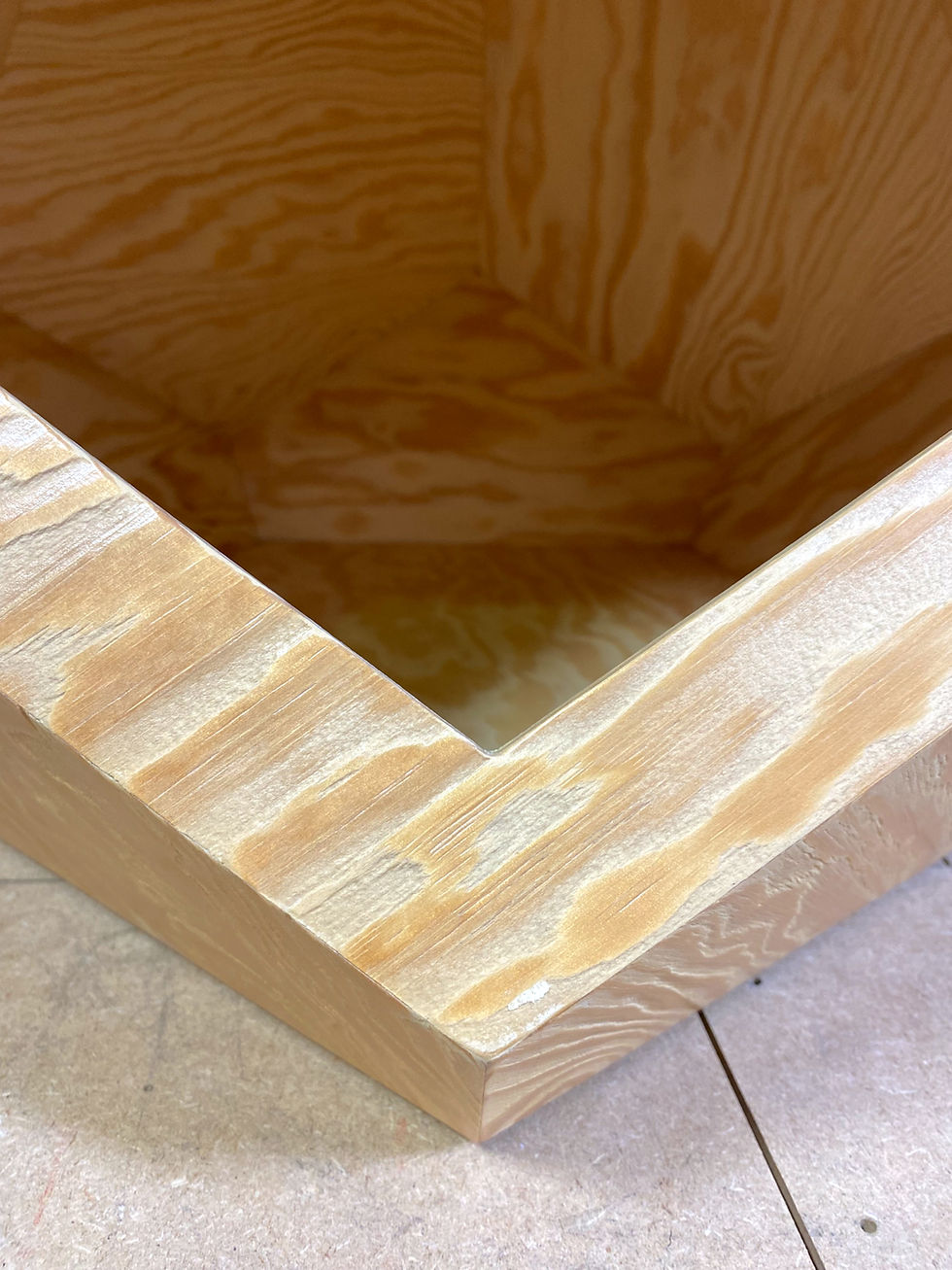 Thumbnail: DODOCAHEDRON Pinus kattenhuis