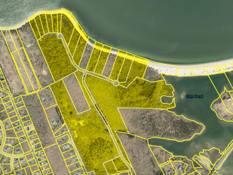 The Suffolk Times - Apollo CEO Marc Rowan buys 100+ acres of East Marion shoreline for record $23.5M: report