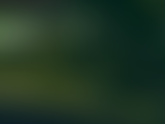 The Suffolk Times - Public comments spur zoning update revisions