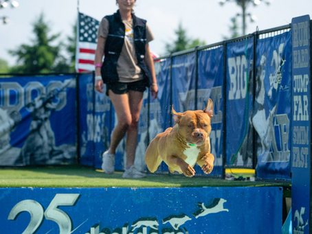 North Fork Sun - Dueling dog dock dives set for this spring in Greenport