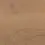 Thumbnail: Desert Oak