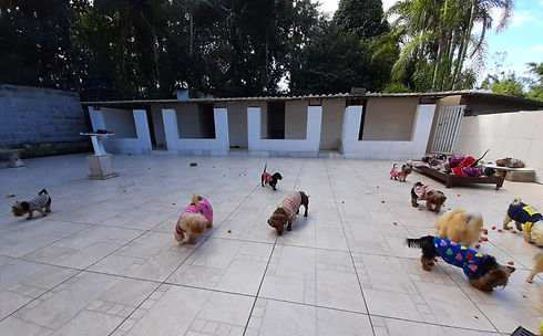 WhatsApp%20Image%202020-06-01%20at%2008.