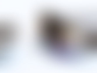 Snapt deze goggle het wel?