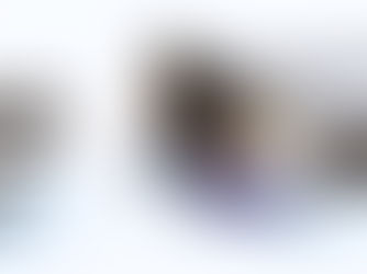 Snapt deze goggle het wel?