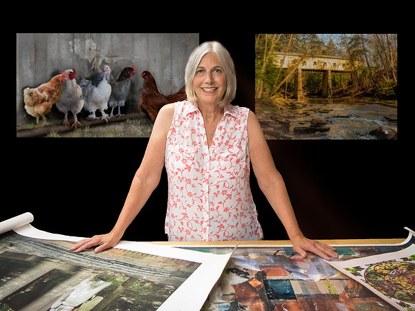 Portrait for Tame Rabblt.jpg
