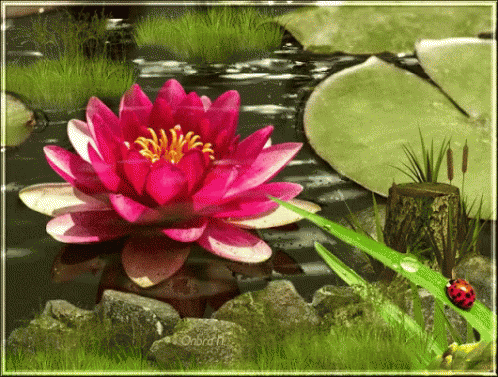 sophrologie meditation Estelle Serve