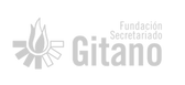 fundacionsecretariadgitano_edited.png
