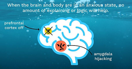 Illustration of brain in an anxious state showing prefrontal cortex off and amygdala hijacking