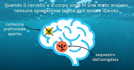 Illustrazione del cervello in stato ansioso con corteccia prefrontale spenta e sequestro dell'amigdala