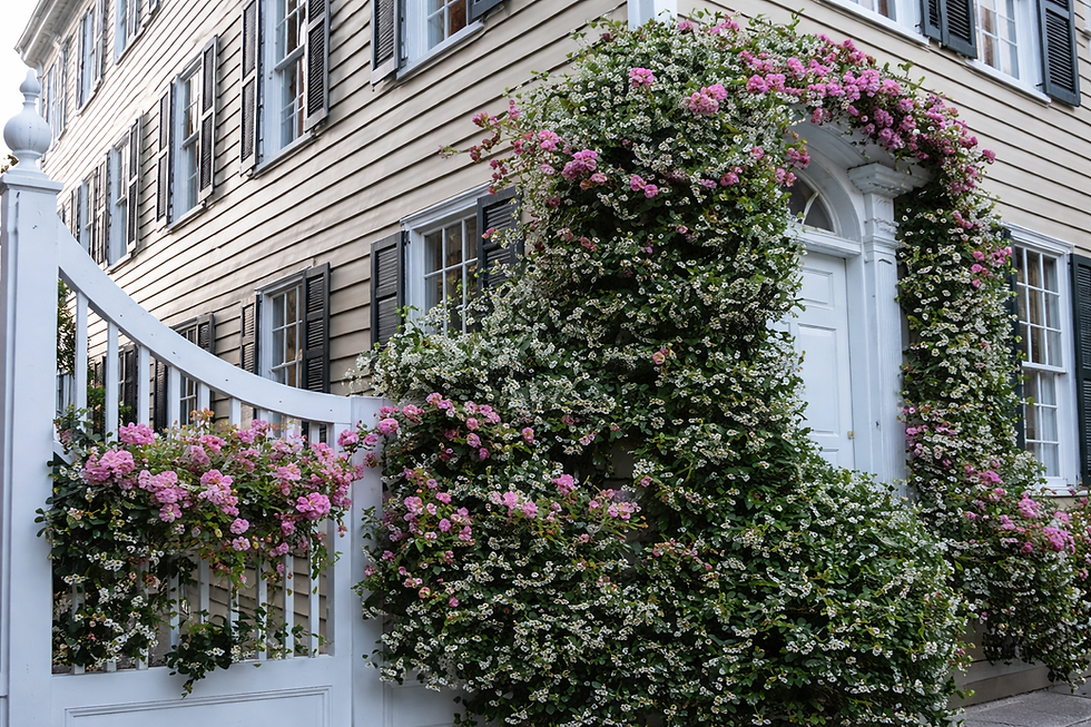Ala Carte Open Days Garden Tour - Benjamin Phillips House Garden