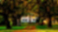 mcleod-plantation-house-415715305.jpg