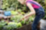 gardening-with-kids-1583296813.jpg