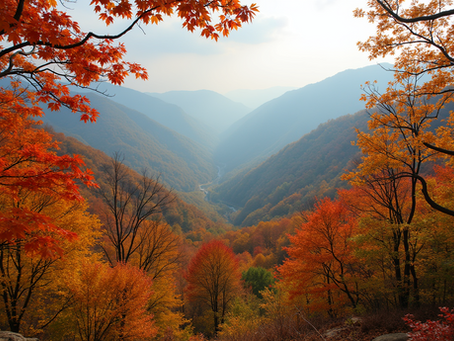 Exploring the Beauty of GSMNP: A Guide to Fall Foliage and Holiday Adventures