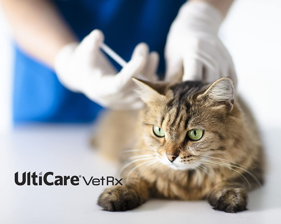 Thumbnail: UltiCare VetRx U-100 Pet Insulin Syringes, 3/10cc, 29G x 1/2’’, 100 ct Box