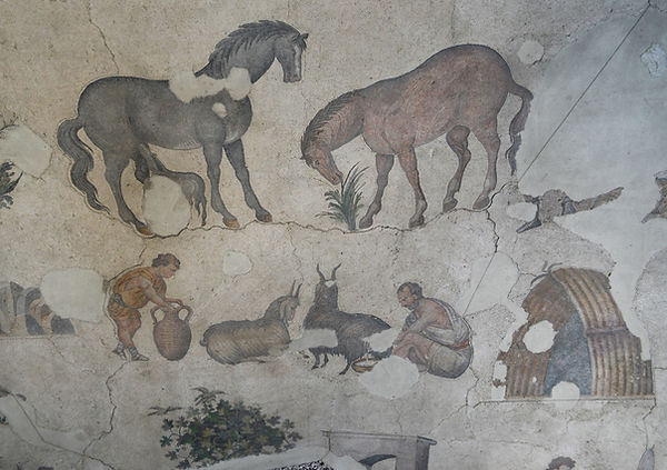 Great Palace Mosaic Museum.jpg