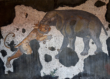 Great Palace Mosaic Museum.jpg