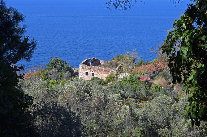DSC_9071_edited.jpg