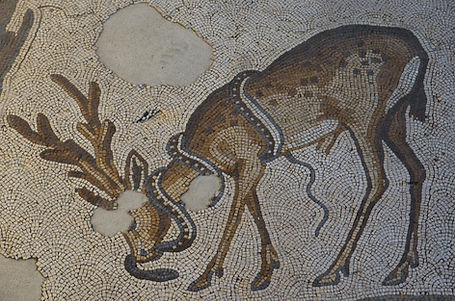 Great Palace Mosaic Museum.jpg