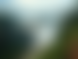 Ultimate Guide to Iguazu Falls Adventure
