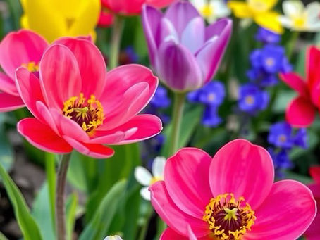 Spring Art & Crafts Fair