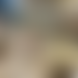 Naturkundemuseum, Karlsruhe, April 2025