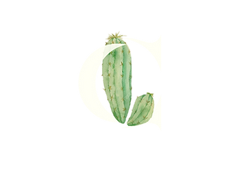 White C Peruvian No background png.png